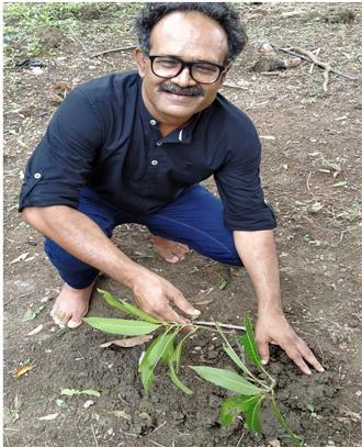हरियर दुर्ग
