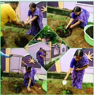 राष्ट्रीय पौधेरोपण एवं कोलाज प्रतियोगिता मे - डाॅ. उषा चंदेल को प्रथम पुरस्कार